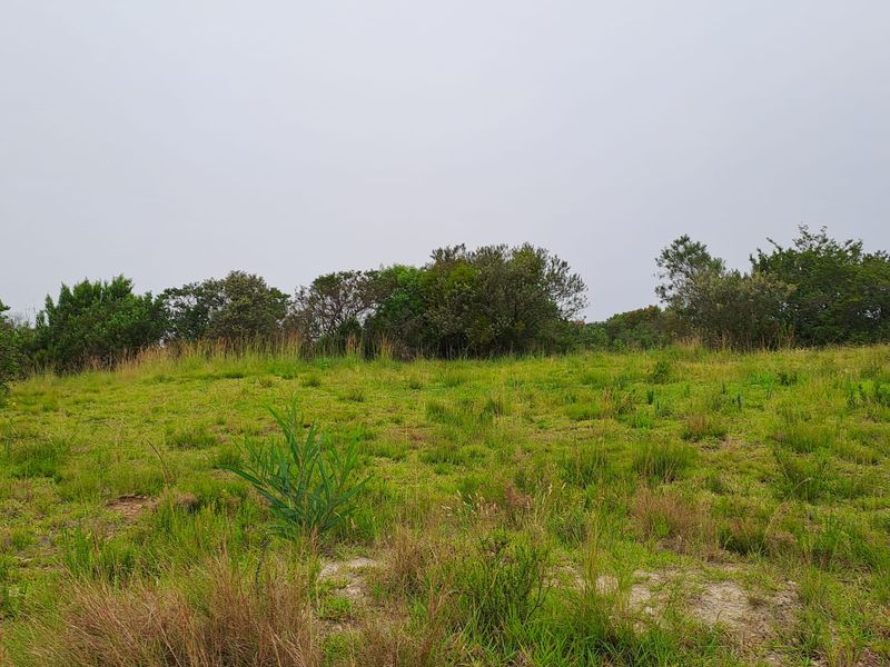 A small Beginning, A Smart Horizon - Photo 3