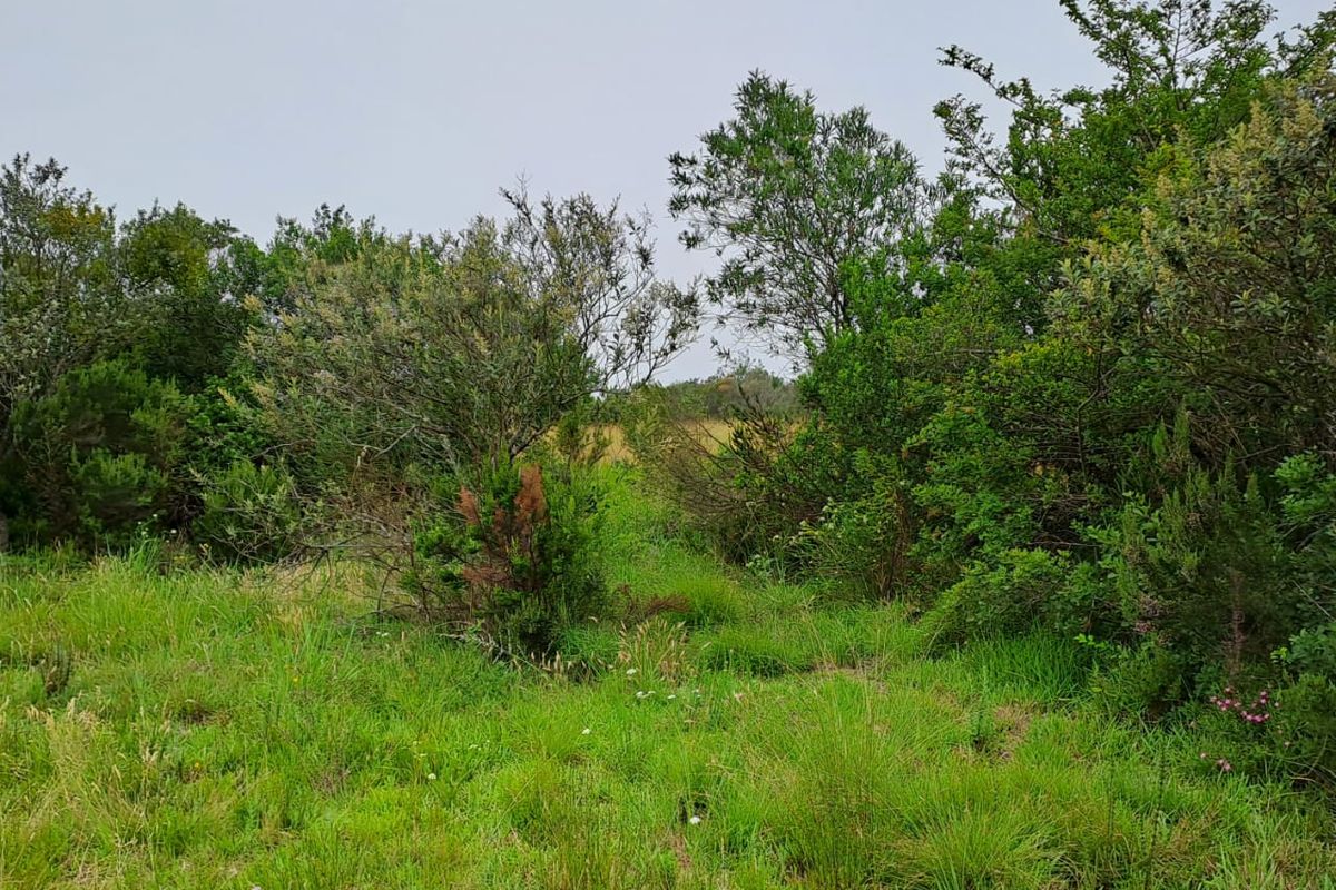 A small Beginning, A Smart Horizon - Photo 2