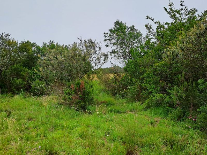 A small Beginning, A Smart Horizon - Photo 2