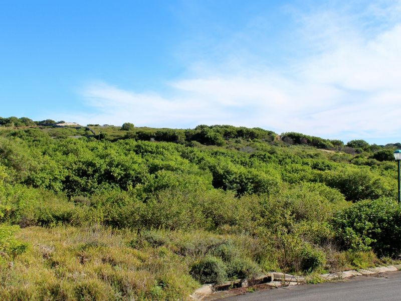 The perfect canvas to bring your vision to life in Emerald Heights, Port Alfred - Photo 9