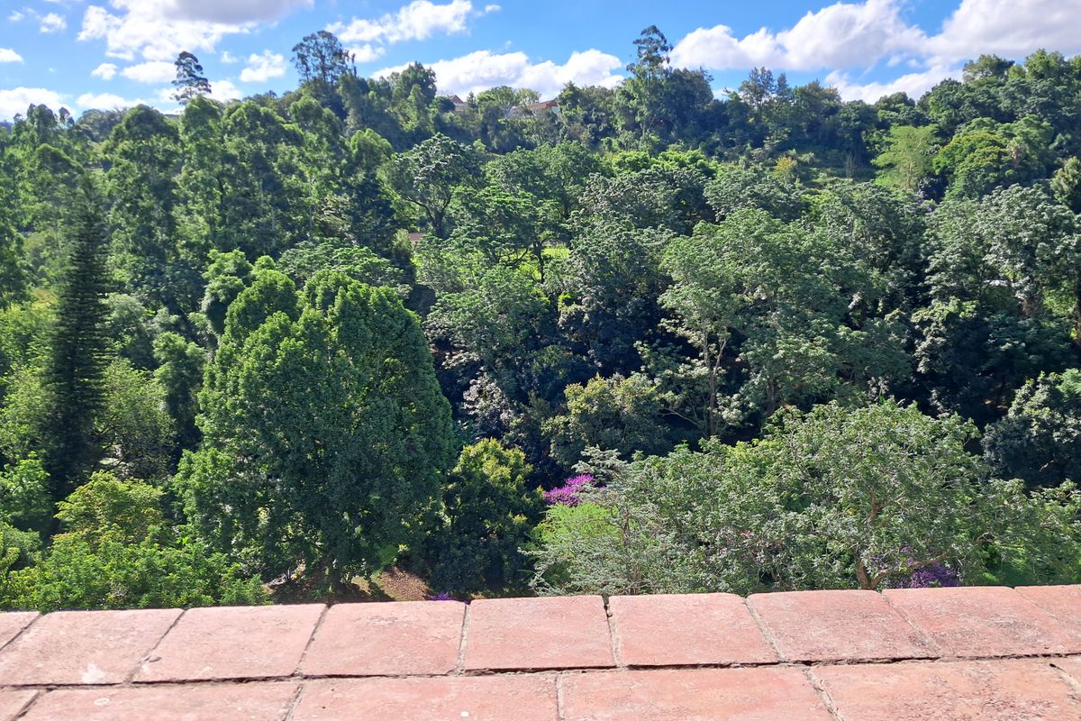 Spacious 3 Bedroom Apartment in Popular Beacon Hill, Clarendon - Photo 5