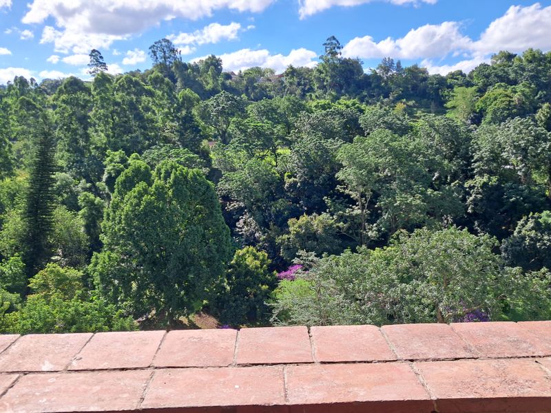 Spacious 3 Bedroom Apartment in Popular Beacon Hill, Clarendon - Photo 5