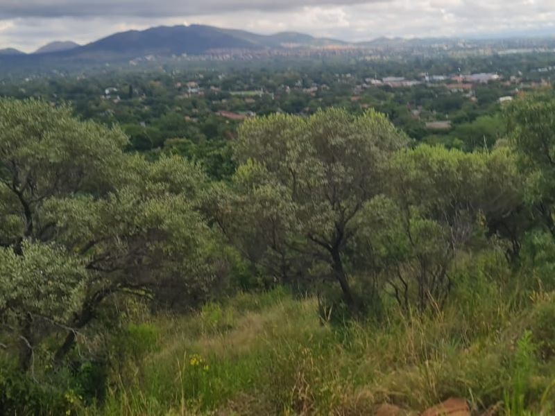 A scenic elevated view overlooking a lush green landscape with distant mountains and residential areas.