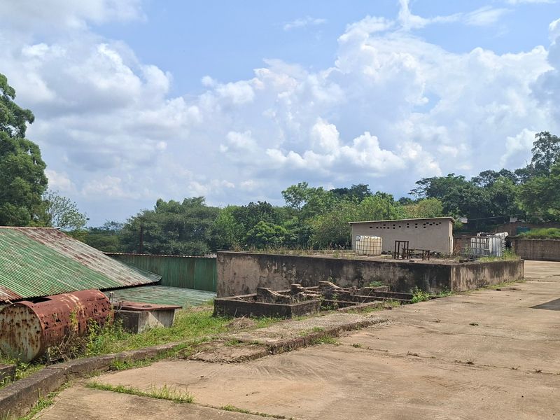 Charming 2 ha farm in Highlands White River —perfect property with lots of potential. - Photo 8