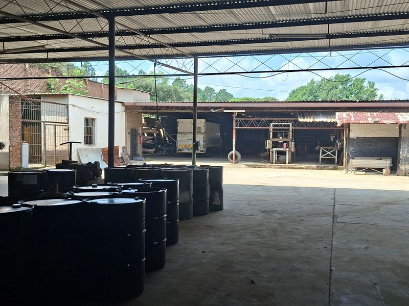 Charming 2 ha farm in Highlands White River —perfect property with lots of potential. - Photo 3