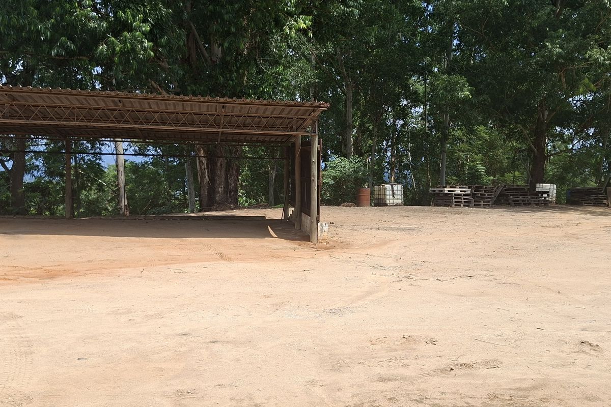 Charming 2 ha farm in Highlands White River —perfect property with lots of potential. - Photo 2