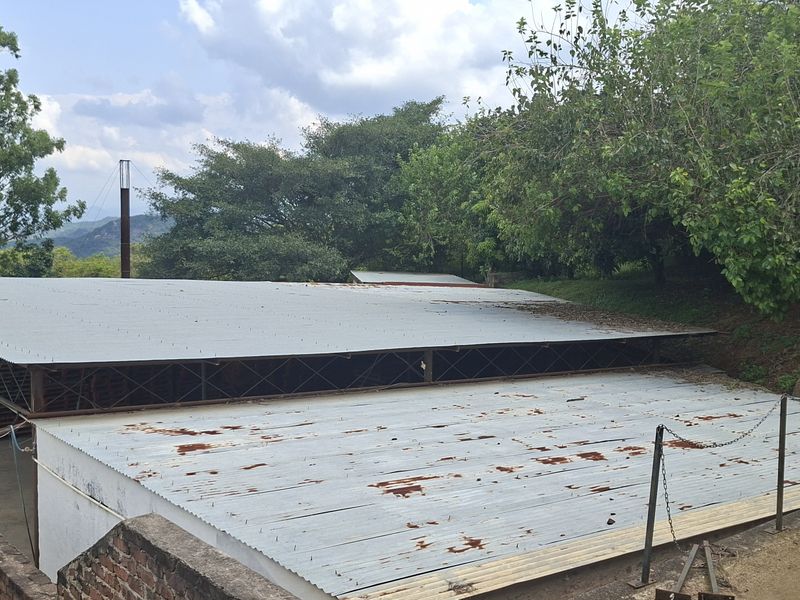 Charming 2 ha farm in Highlands White River —perfect property with lots of potential. - Photo 10