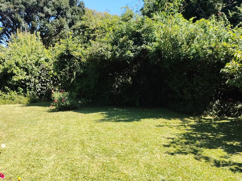 1 Bedroom Thatched Cottage in Winterskloof - Photo 9