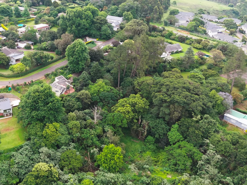 In the Midst of Nature -  A Family home. - Photo 3