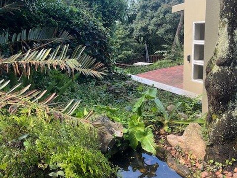 In the Midst of Nature -  A Family home. - Photo 5