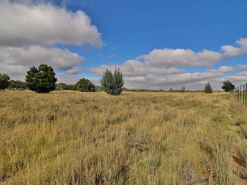 Country Freedom Meets Profit – Versatile Farm with Endless Potential - Photo 7