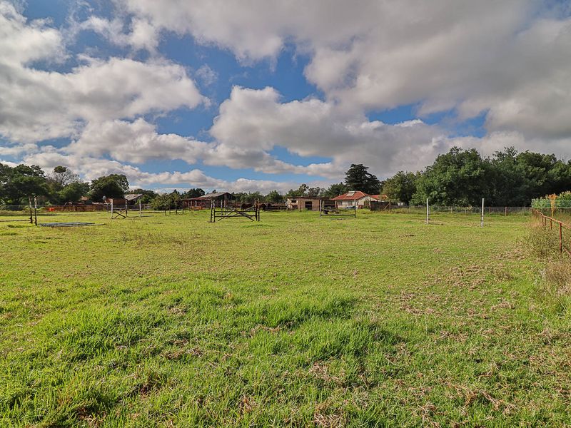 Country Freedom Meets Profit – Versatile Farm with Endless Potential - Photo 6