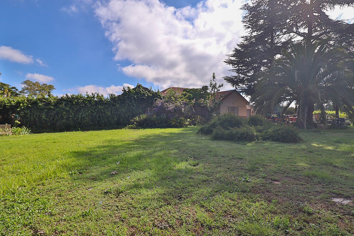 Country Freedom Meets Profit – Versatile Farm with Endless Potential - Photo 3