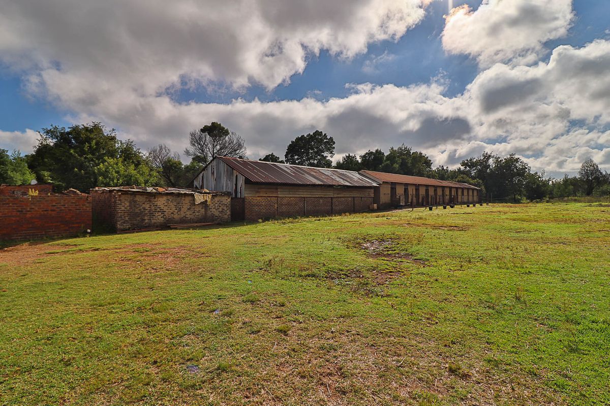 Country Freedom Meets Profit – Versatile Farm with Endless Potential - Photo 2