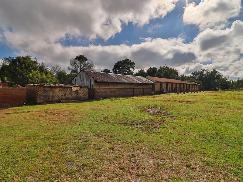 Country Freedom Meets Profit – Versatile Farm with Endless Potential - Photo 2