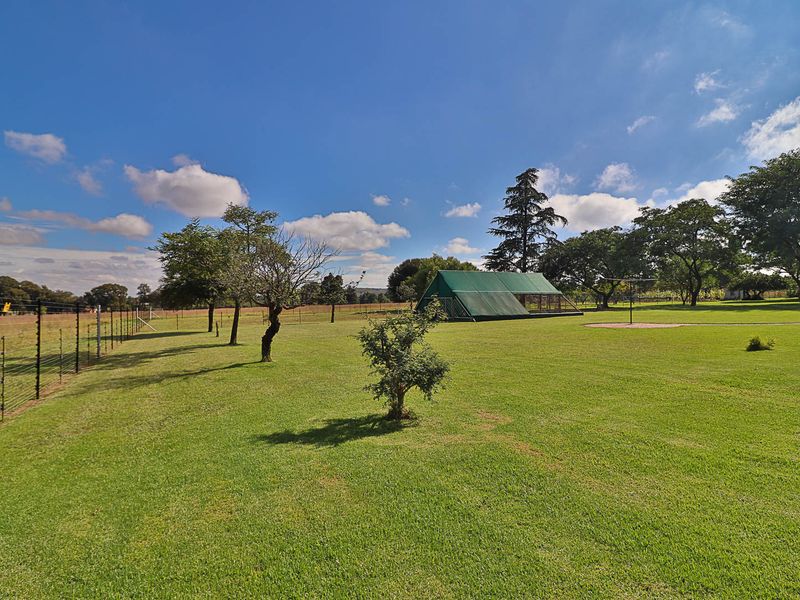 Rare Gem - Two Homes • Warehouse • Solar Option • 9.25ha – One Incredible Property - Photo 5