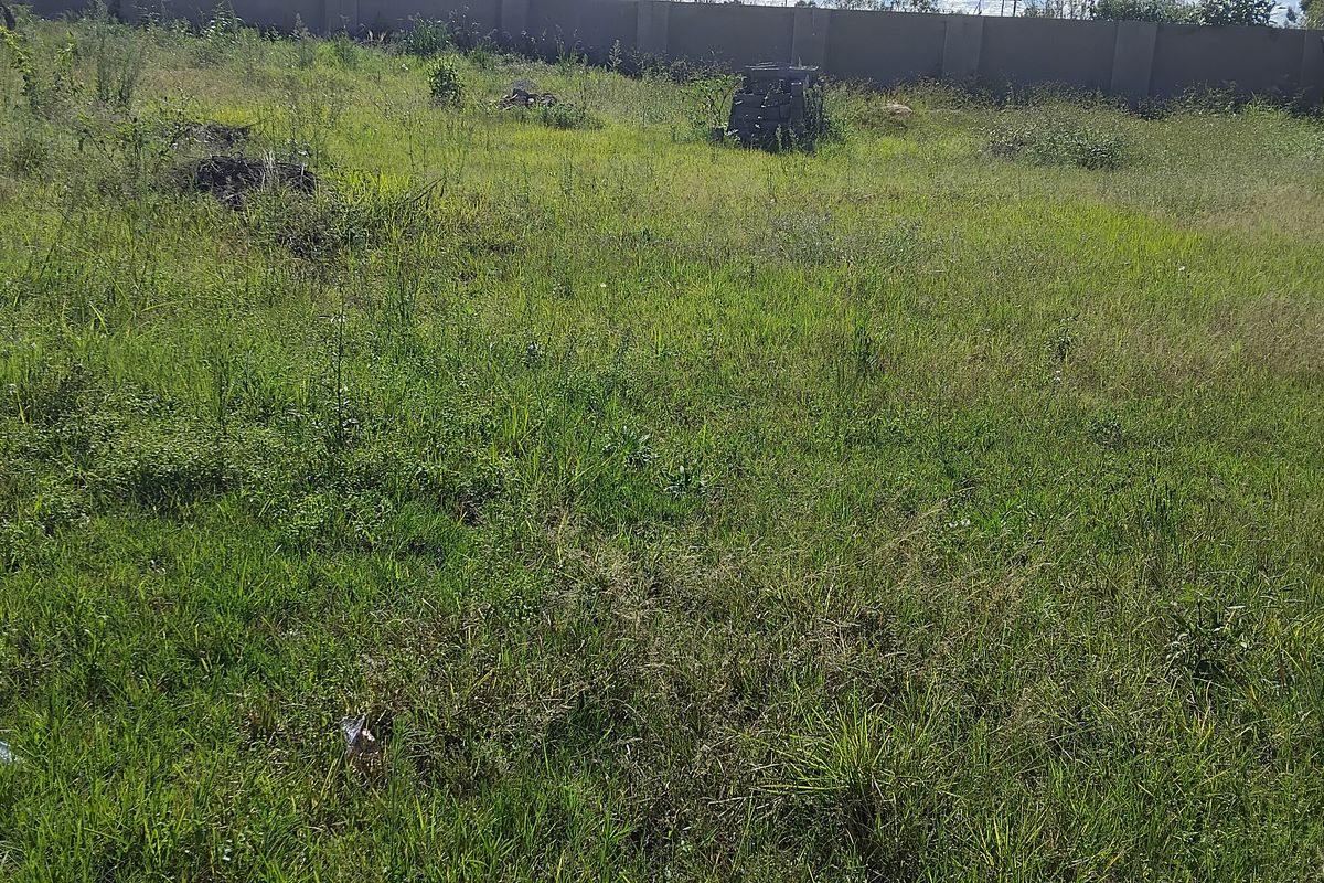 EXCLUSIVE SOLE MANDATE - Photo 4