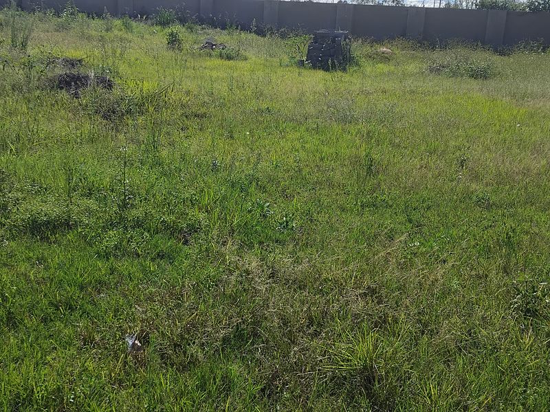 EXCLUSIVE SOLE MANDATE - Photo 4