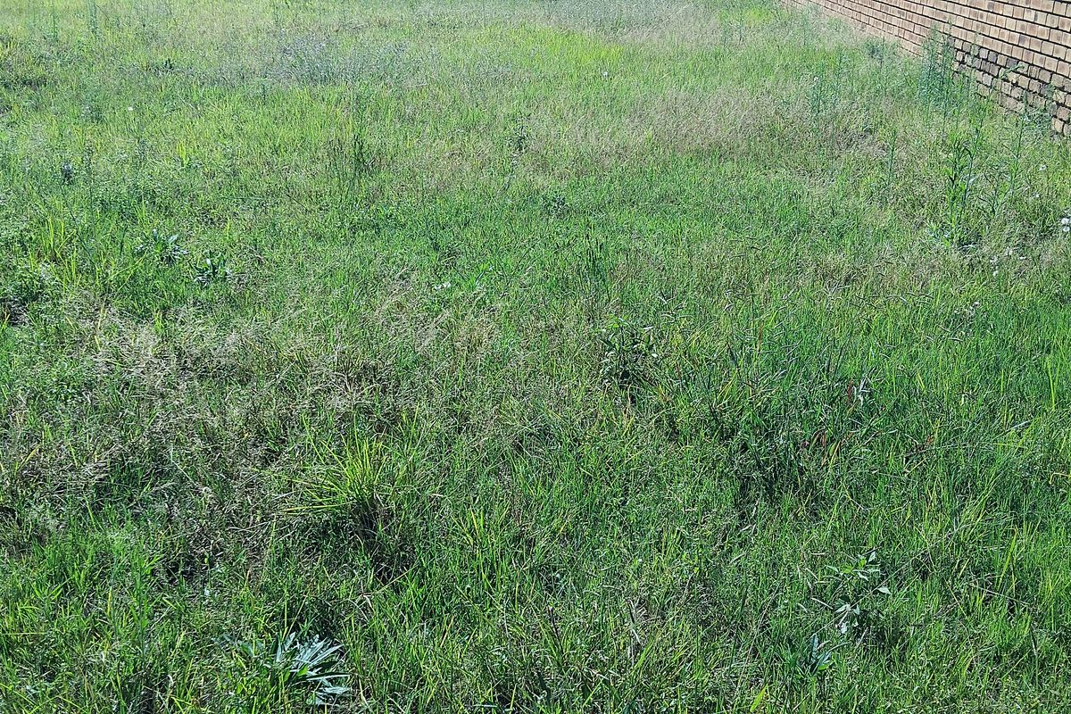 EXCLUSIVE SOLE MANDATE - Photo 2