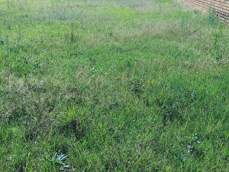 EXCLUSIVE SOLE MANDATE - Photo 2