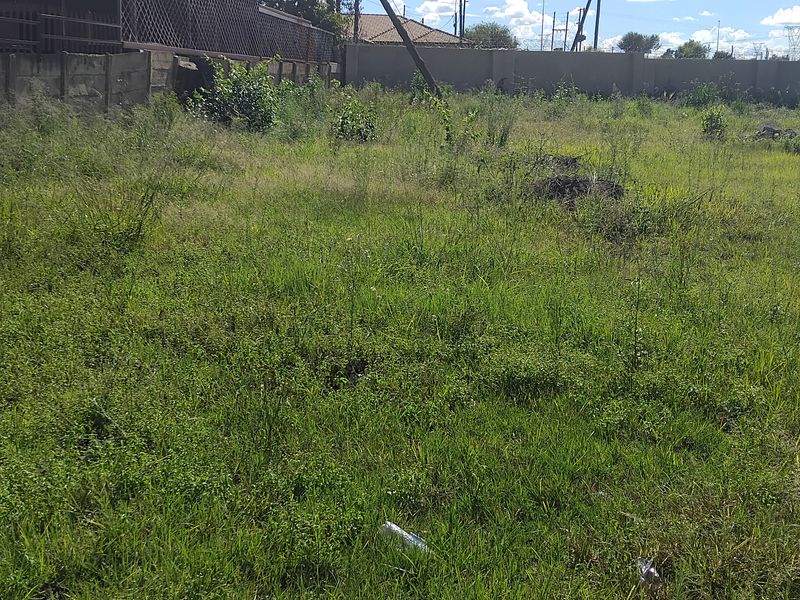 EXCLUSIVE SOLE MANDATE - Photo 6