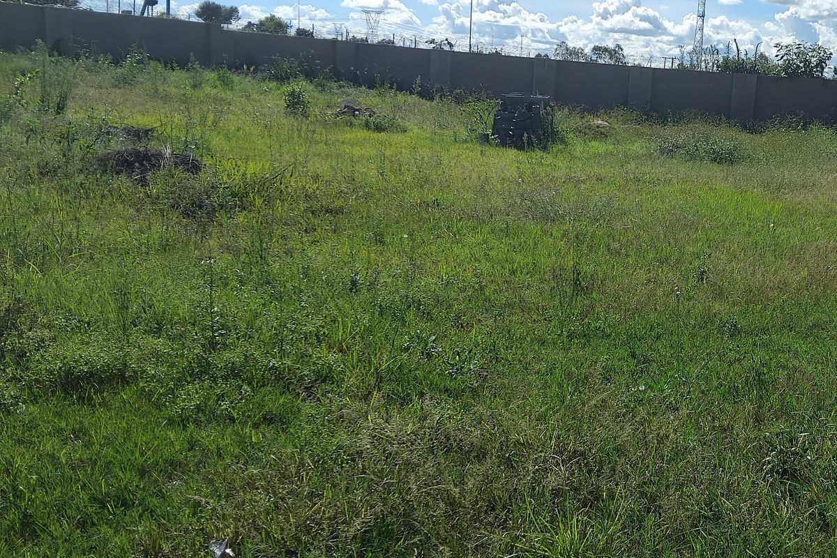 EXCLUSIVE SOLE MANDATE - Photo 5