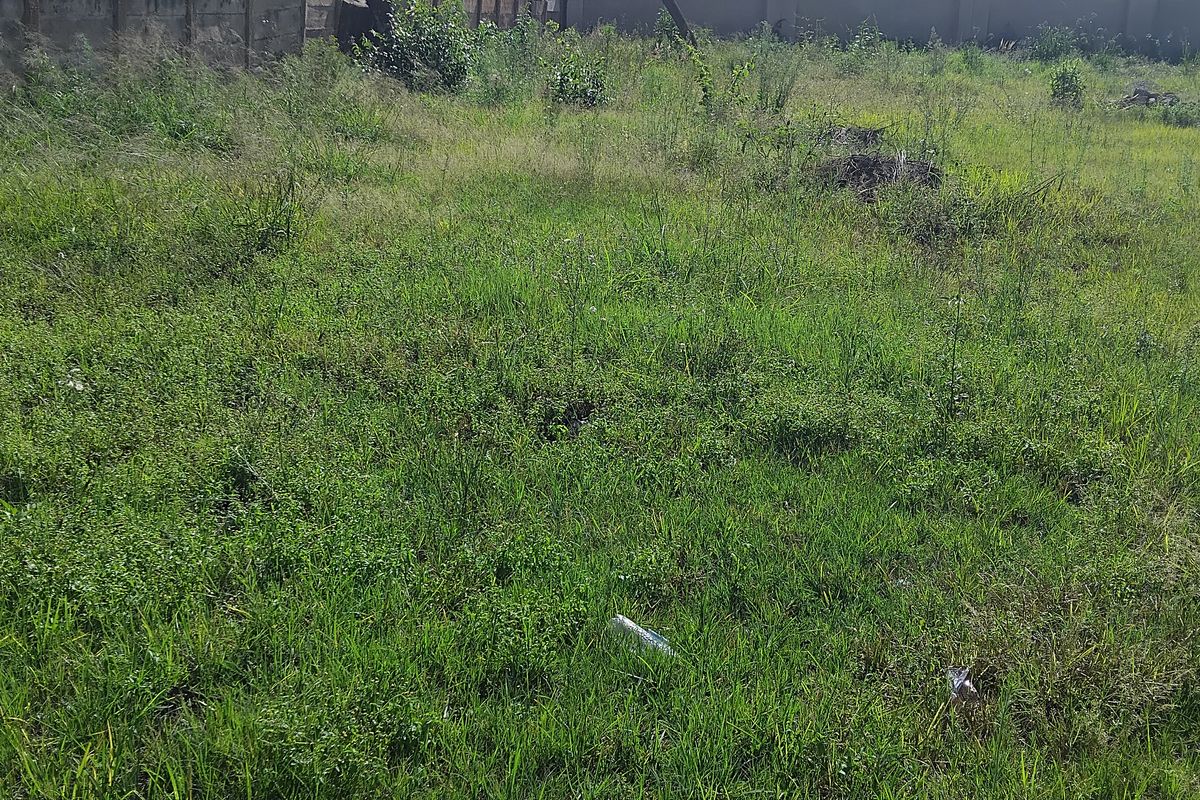 EXCLUSIVE SOLE MANDATE - Photo 3