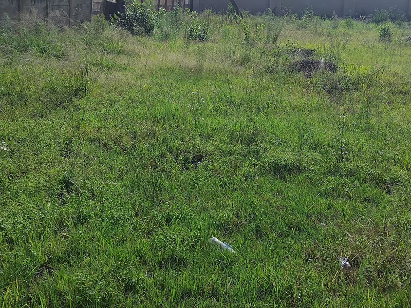 EXCLUSIVE SOLE MANDATE - Photo 3