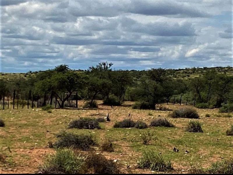 Vee- en Wildplaas - Photo 8