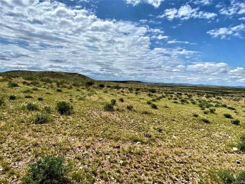 Vee- en Wildplaas - Photo 4