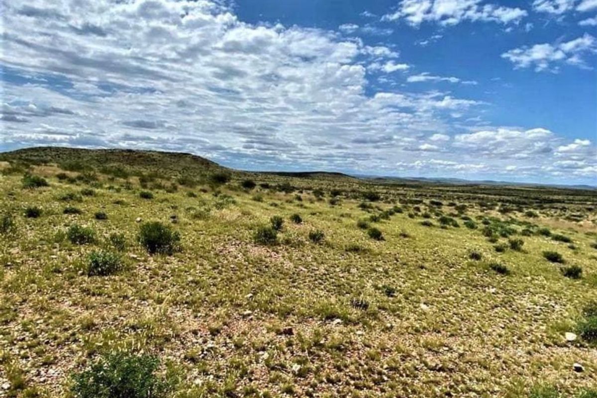 Vee- en Wildplaas - Photo 4