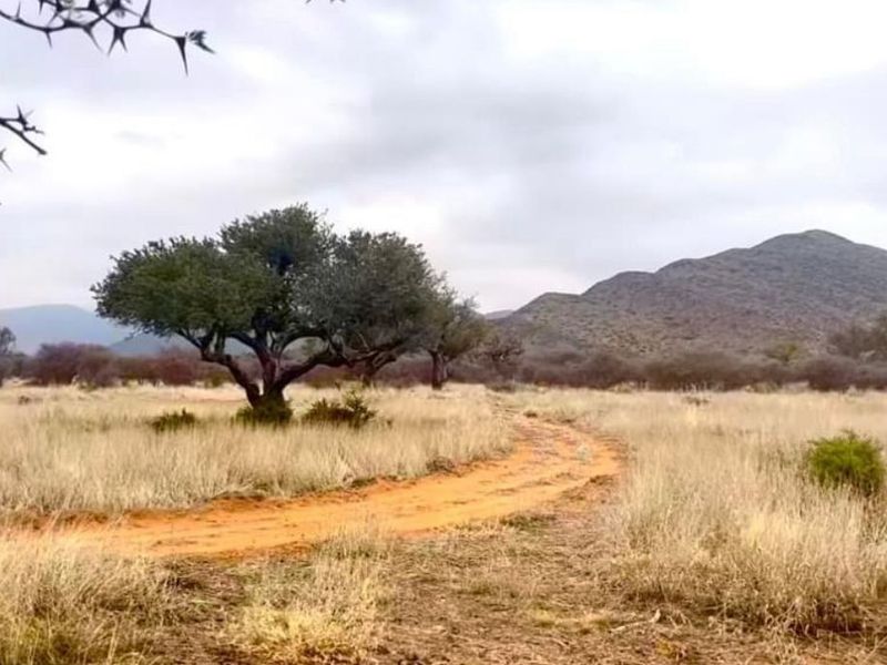 Vee- en Wildplaas - Photo 6