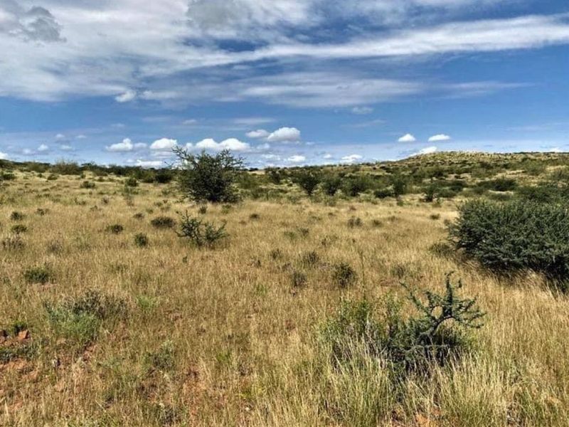 Vee- en Wildplaas - Photo 5