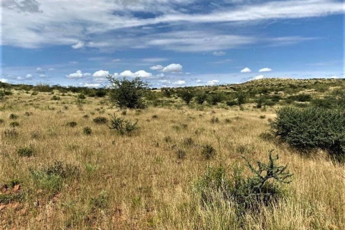 Vee- en Wildplaas - Photo 5