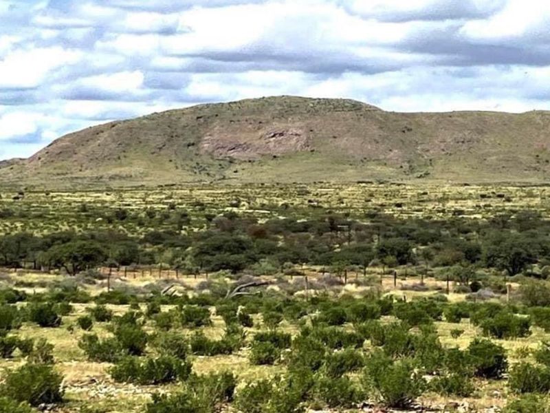 Vee- en Wildplaas - Photo 3