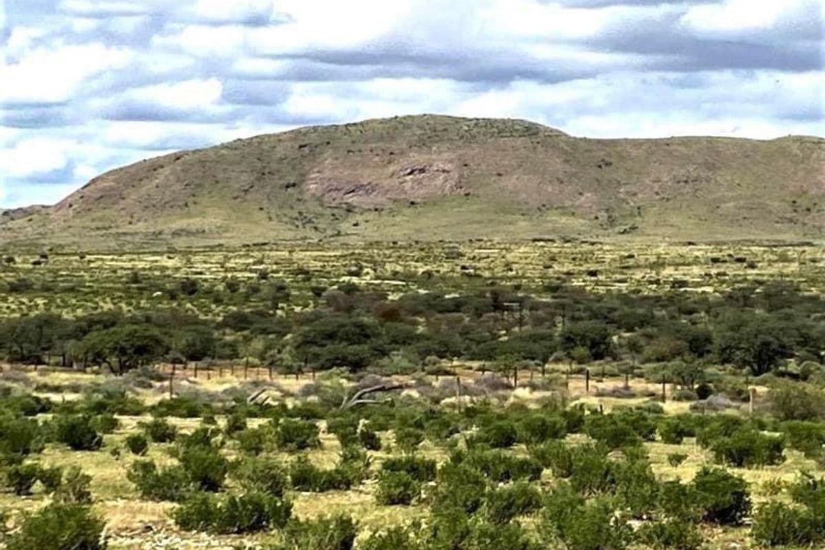 Vee- en Wildplaas - Photo 3