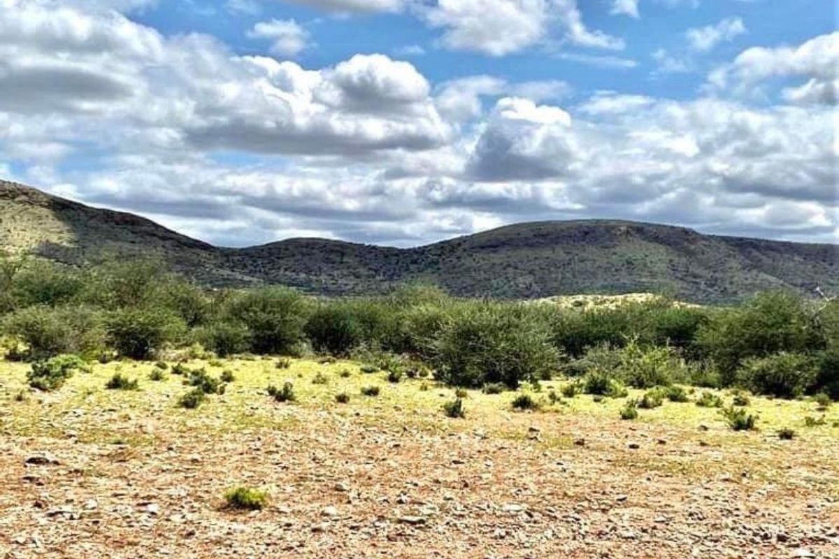 Vee- en Wildplaas - Photo 2