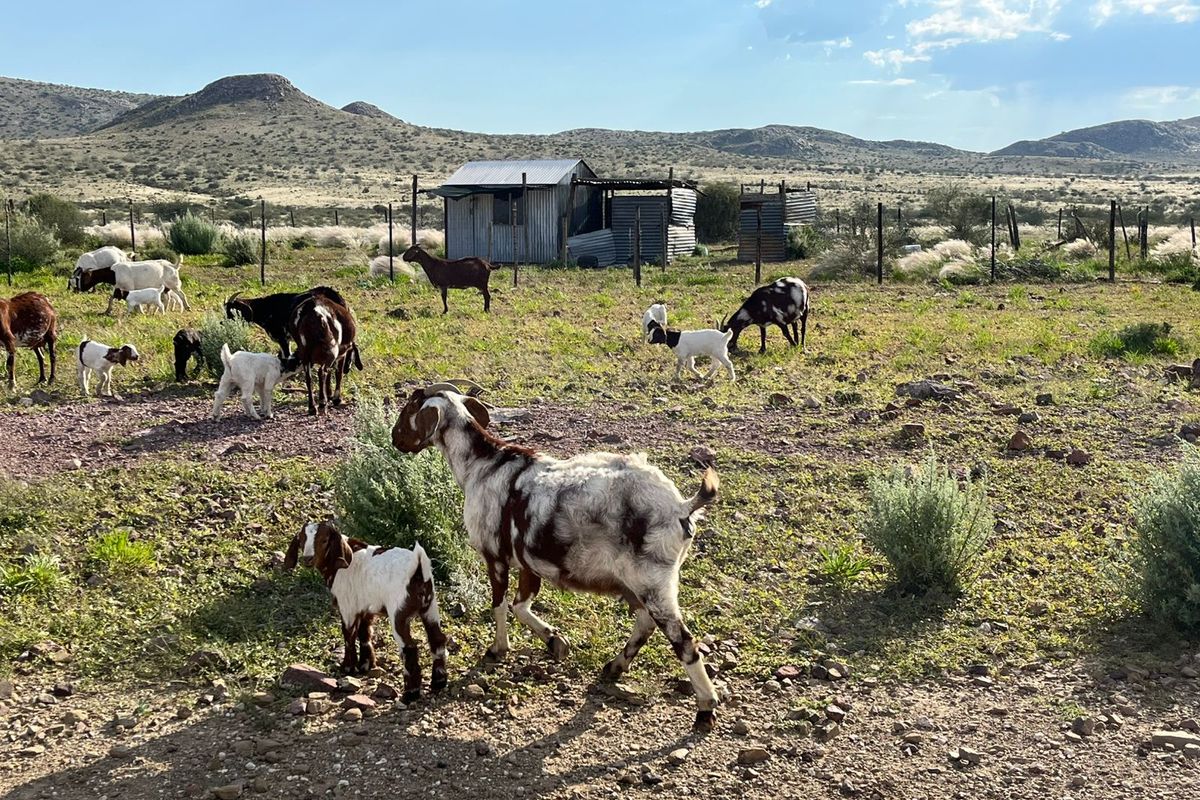 A rural farm landscape featuring a small, weathered corrugated metal shed structure set against a backdrop of open fields and distant hills.