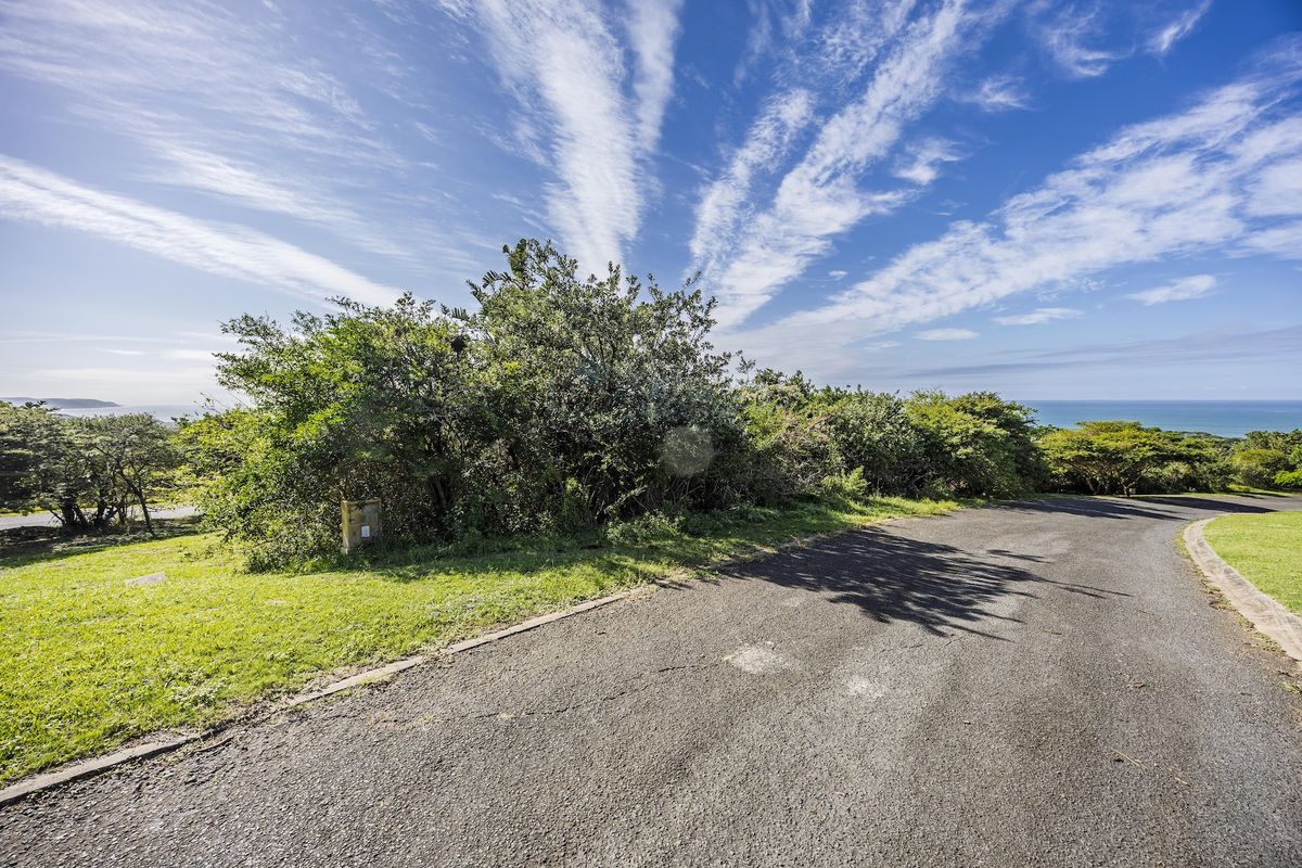 A view of the asphalt street and verge bordering the vacant residential land, featuring coastal vegetation and distant ocean views.