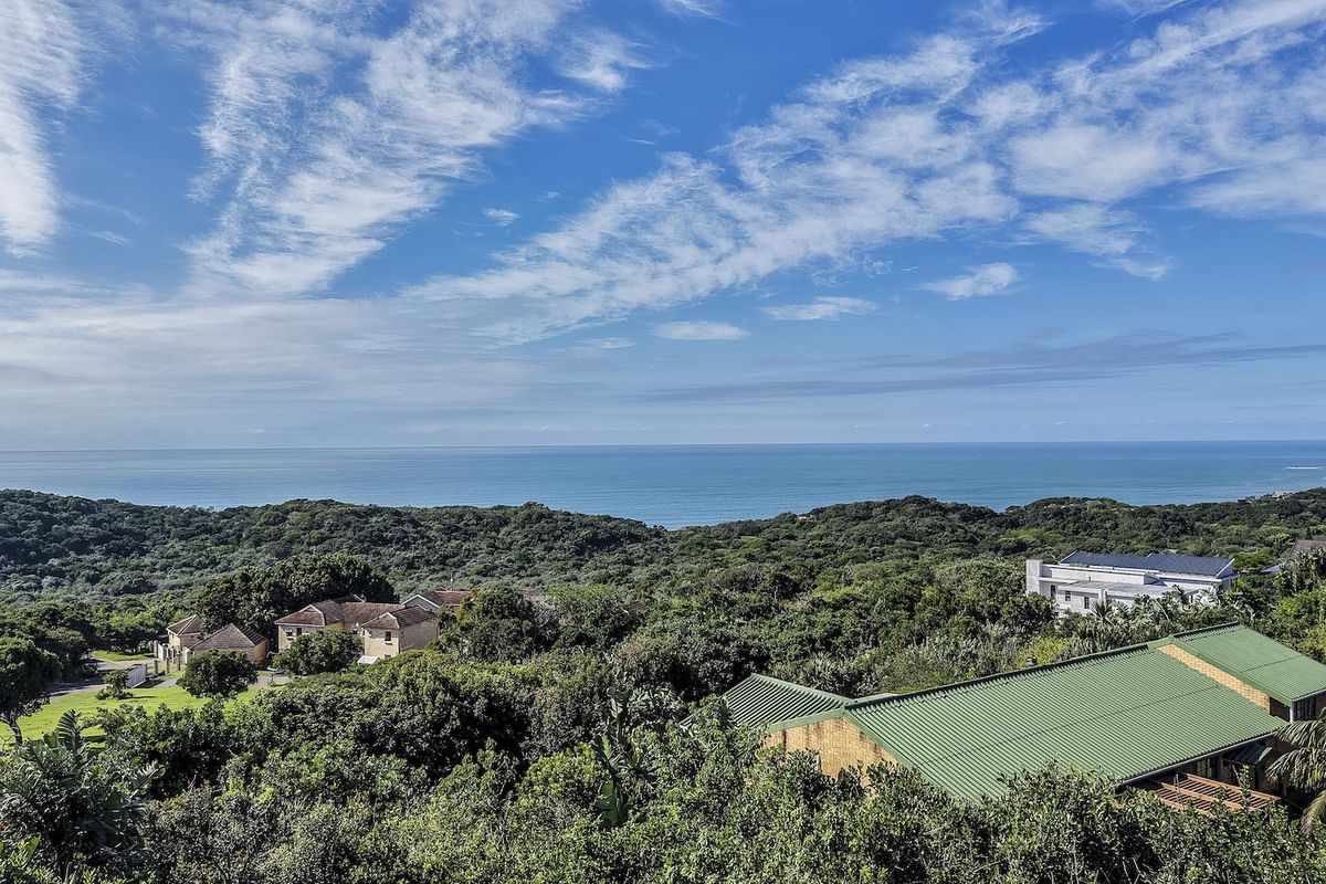 A scenic elevated view overlooking lush coastal forest and the ocean, showcasing the natural landscape and surrounding residential area.