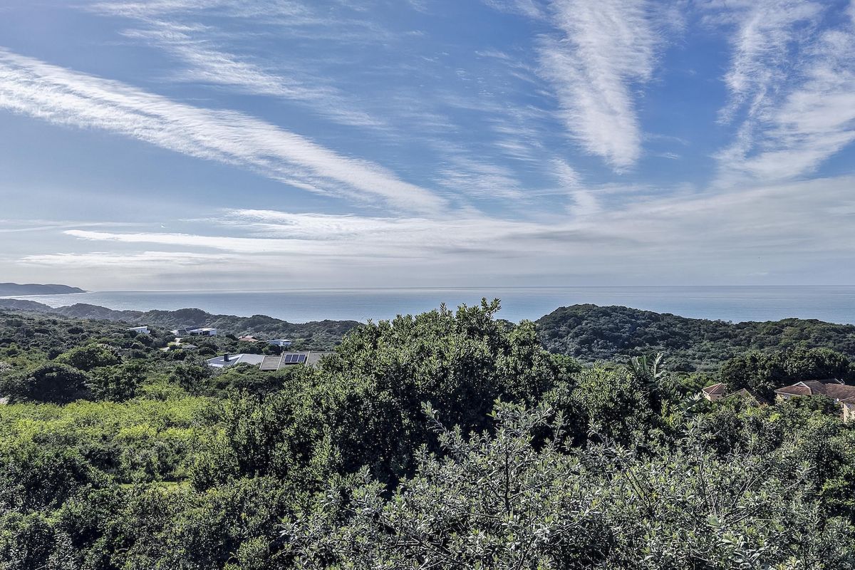 A scenic elevated view overlooking lush coastal vegetation and the ocean horizon.