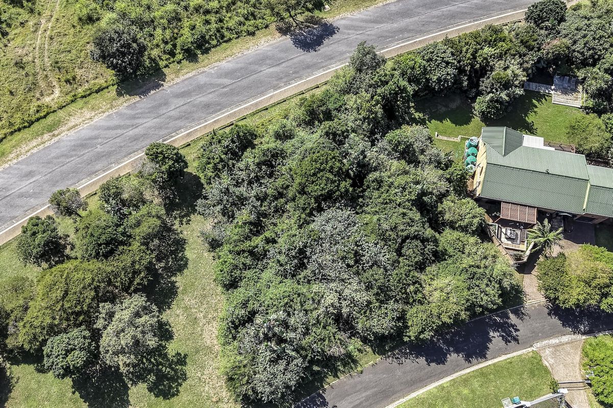 Aerial view of a residential property featuring a house with a metal roof, surrounded by dense vegetation and adjacent to a paved road.