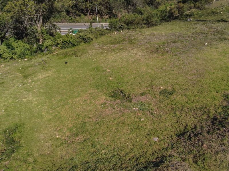 Hallack Road Opportunity – 1537m2 of Potential - Photo 7