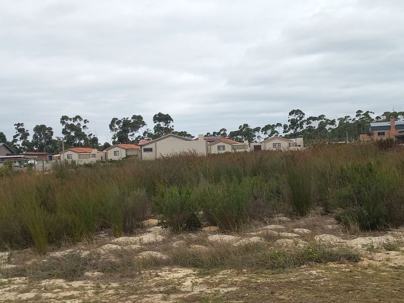 A vacant residential plot featuring natural vegetation and an installed electrical utility box, situated within an established residential neighborhood.