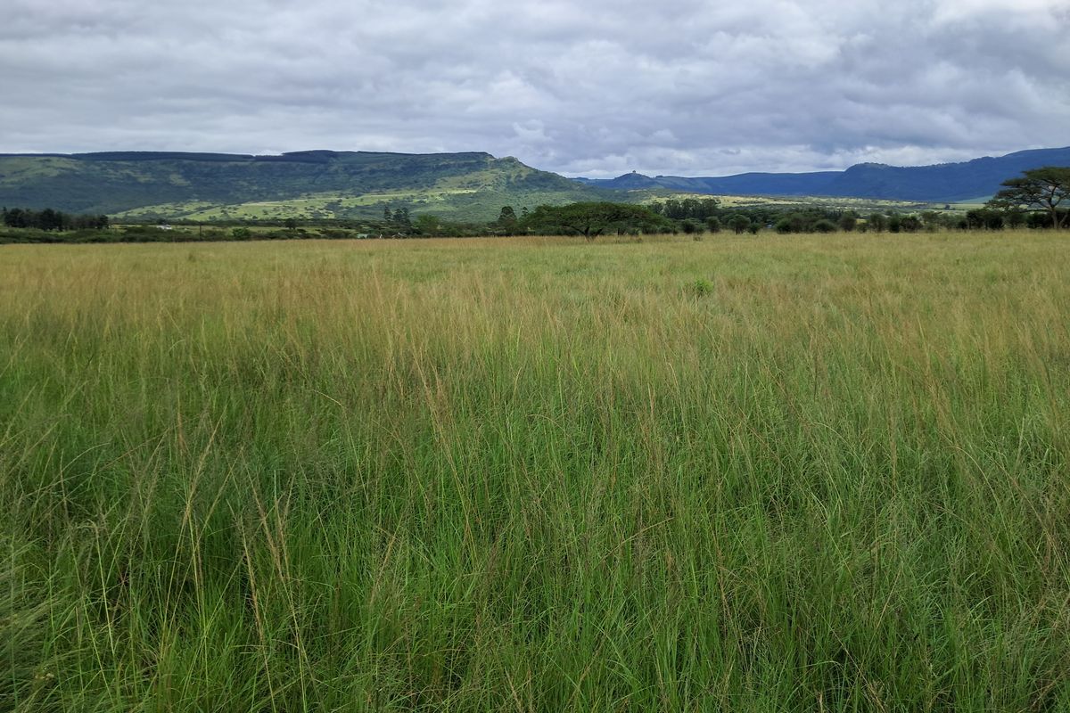 Prime 22ha Smallholding with Multiple Dwellings and Scenic Dam Views - Photo 4