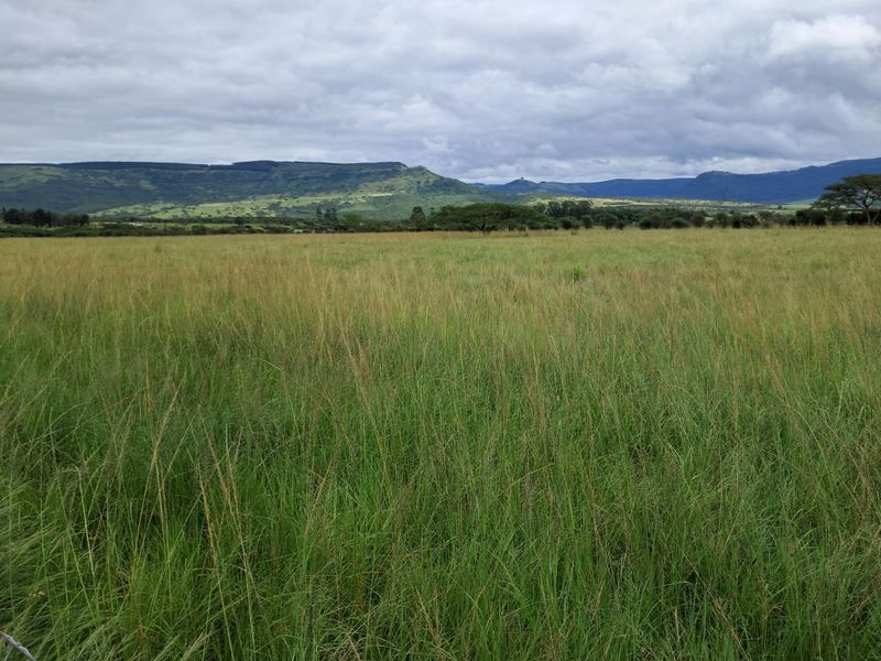 Prime 22ha Smallholding with Multiple Dwellings and Scenic Dam Views - Photo 4