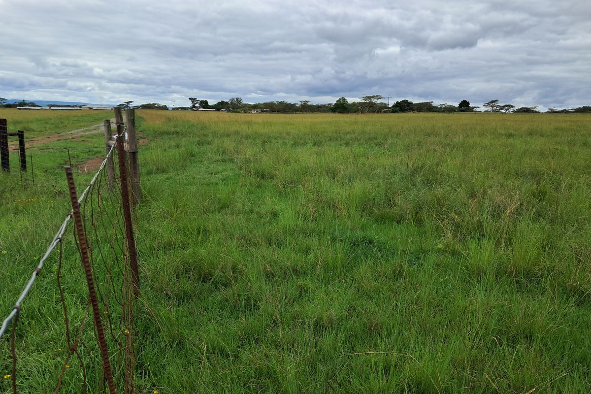 Prime 22ha Smallholding with Multiple Dwellings and Scenic Dam Views - Photo 5