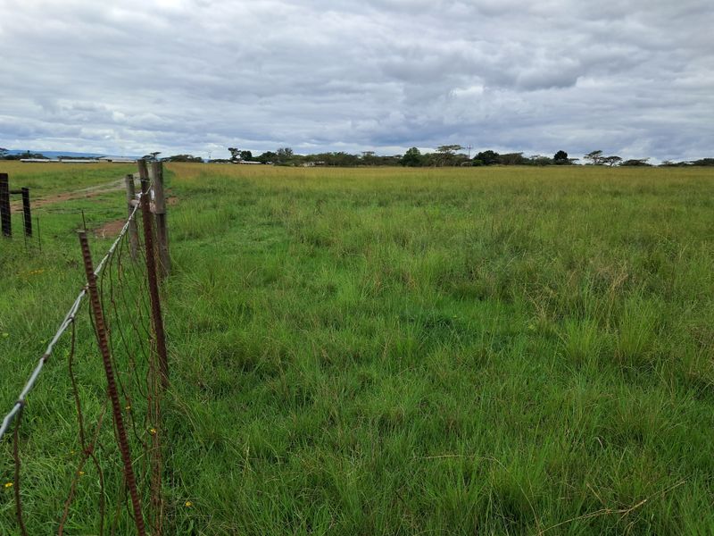 Prime 22ha Smallholding with Multiple Dwellings and Scenic Dam Views - Photo 5