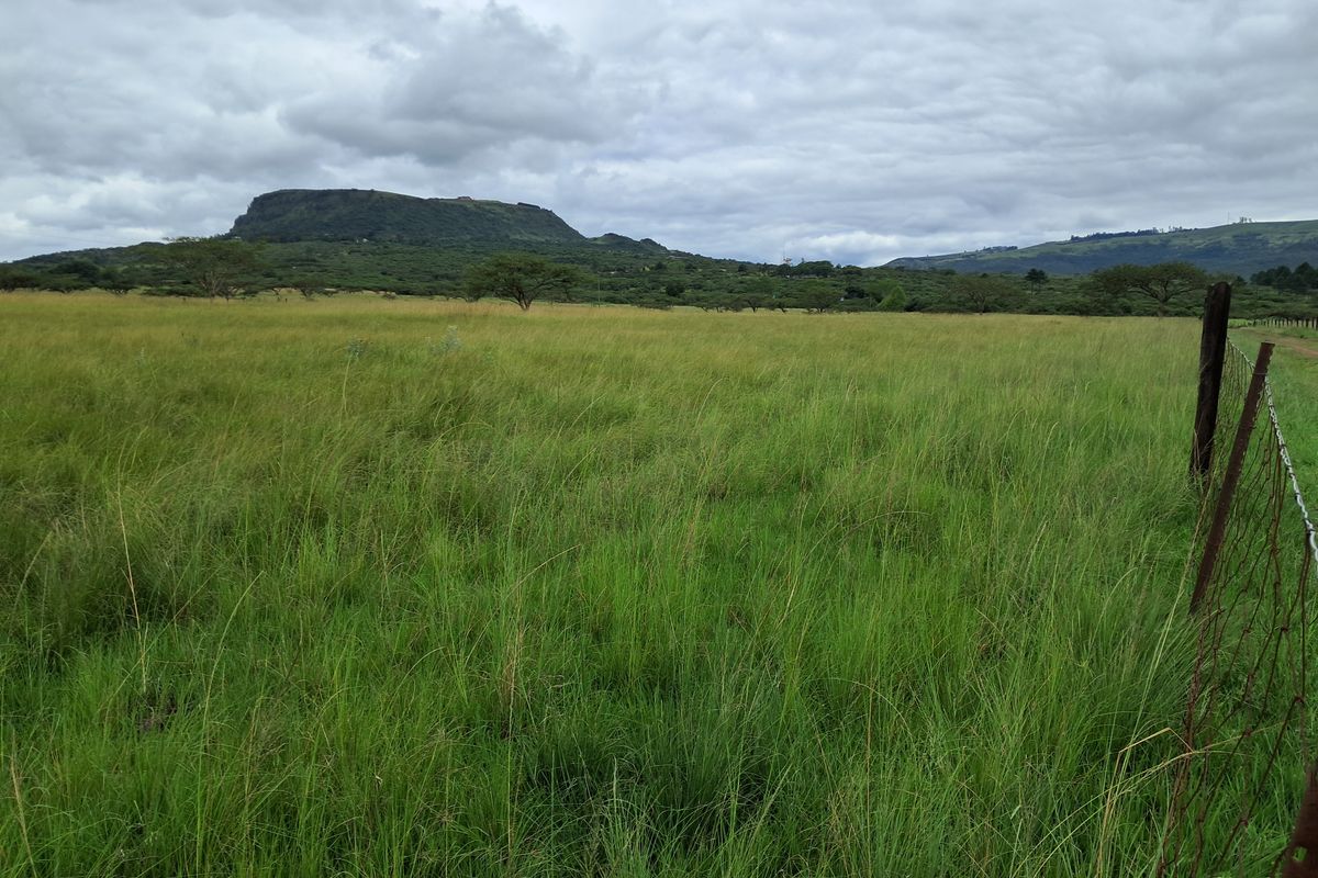 Prime 22ha Smallholding with Multiple Dwellings and Scenic Dam Views - Photo 2