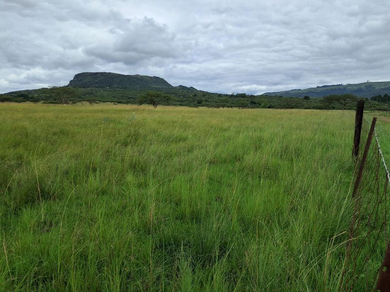 Prime 22ha Smallholding with Multiple Dwellings and Scenic Dam Views - Photo 2